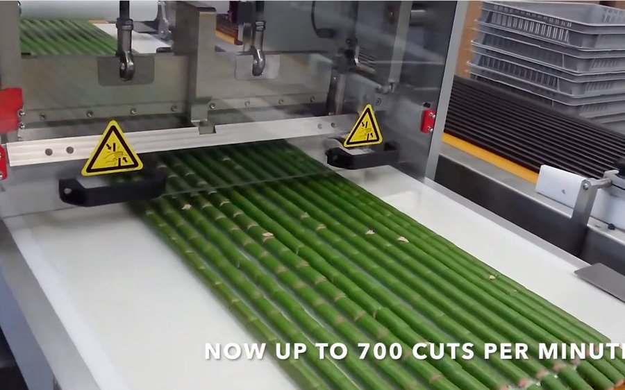 The new, faster Guillotine Cutter at Extrufood